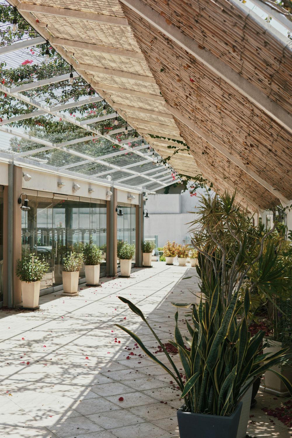 Patio Pergola — Pergolas & Fences, Ottawa